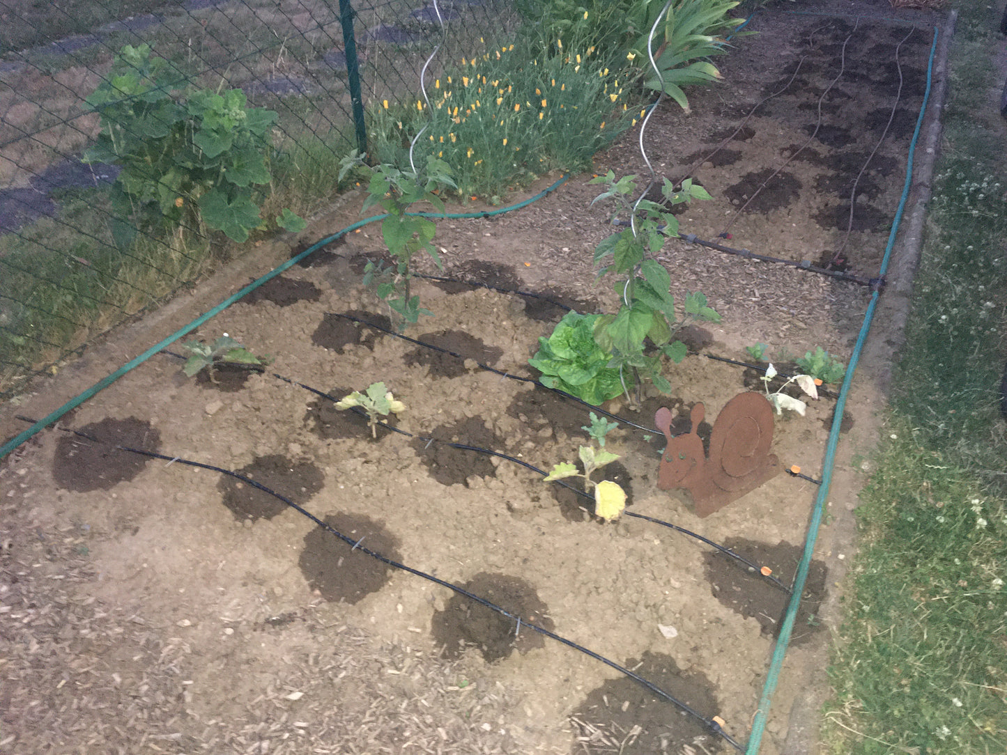 (#1020) Bewässerung-Set mit Gardena Micro-Drip-System ohne Locher