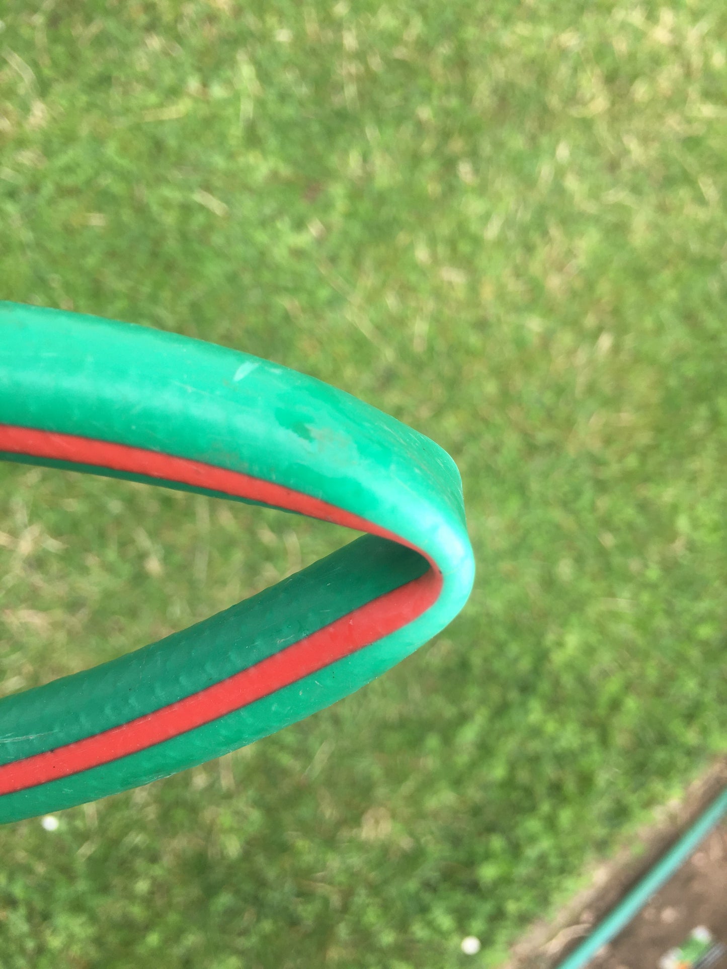 (#1004) OSW Garden Gartenschlauch 1/2"