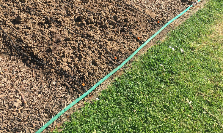 Pflanzenbewässerung