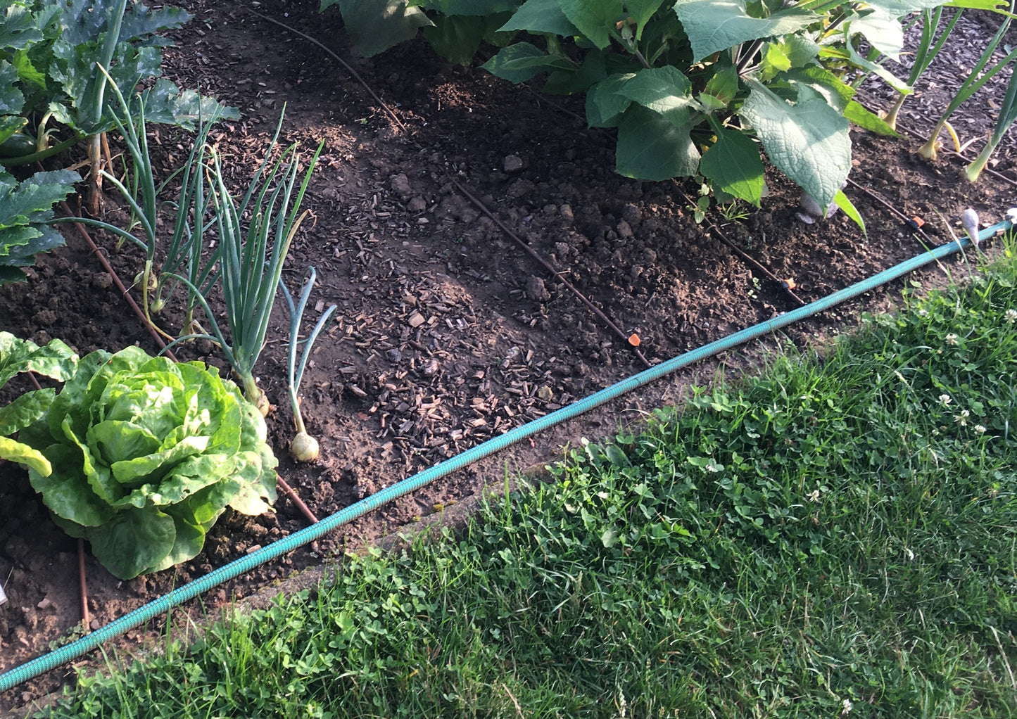 (#2050) Mini-Ventil für Bewässerungsschlauch