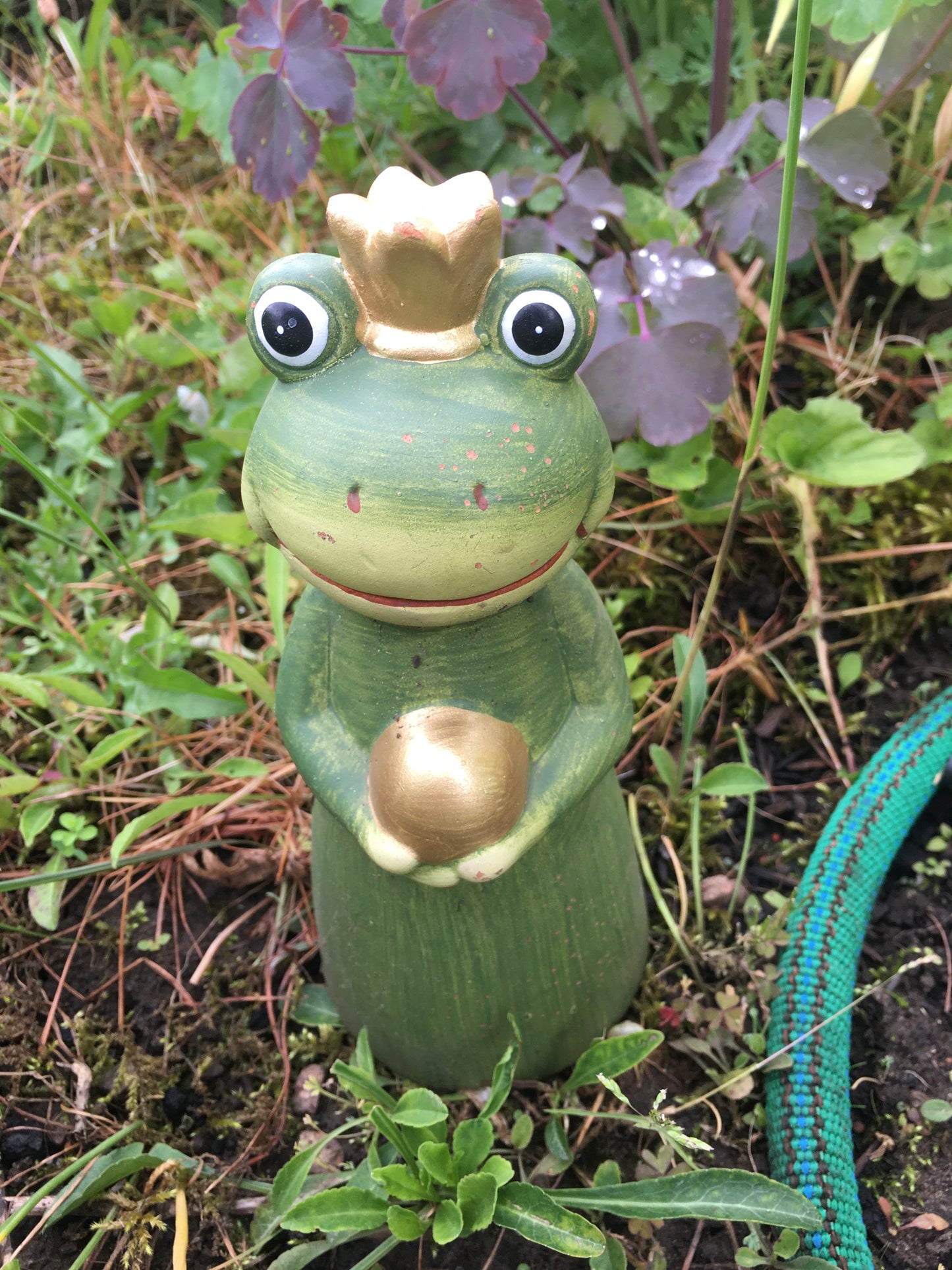 (#1001) Schneckenschlauch Starterset  vollständig vormontiert