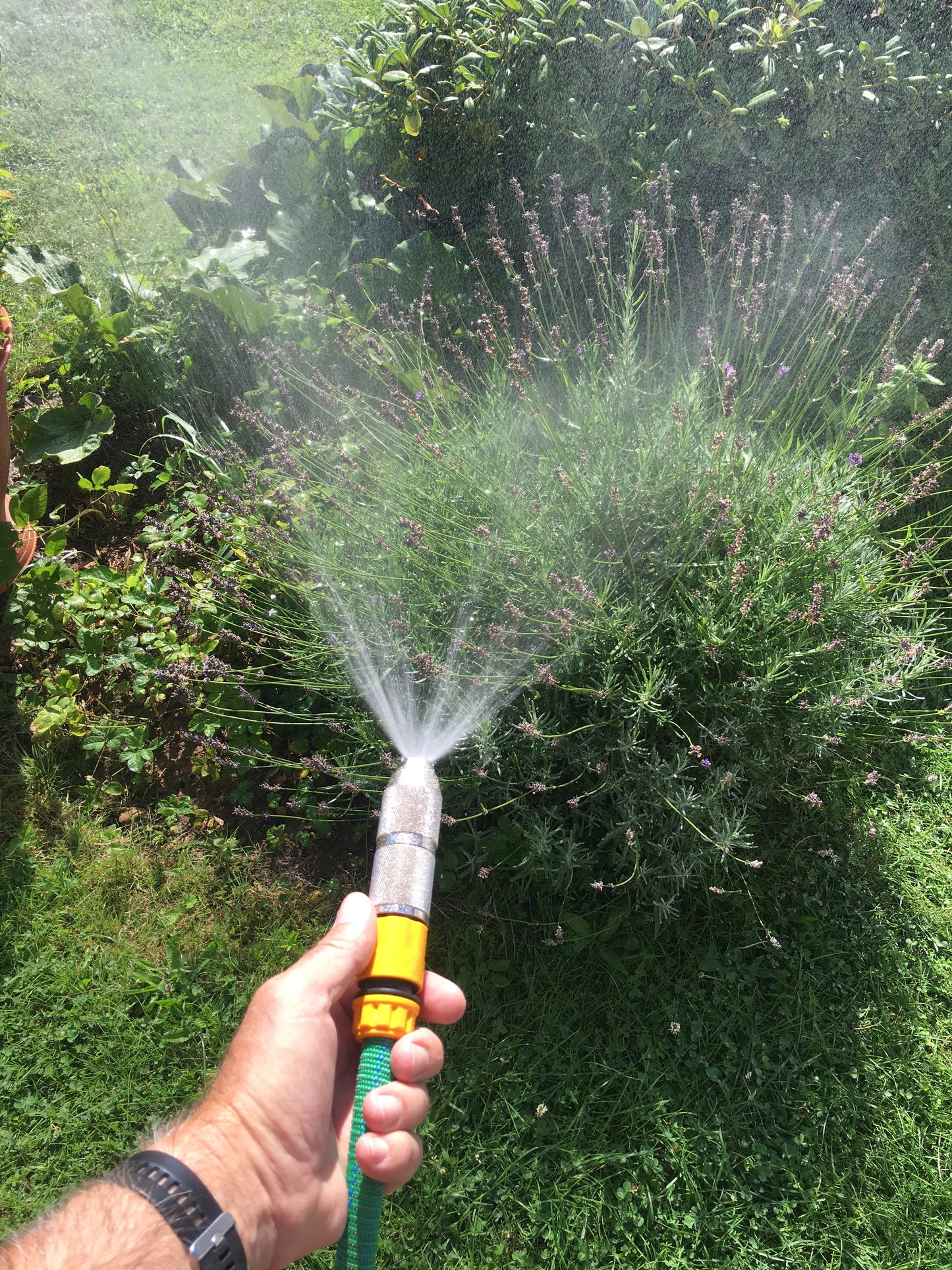 Kombination möglich