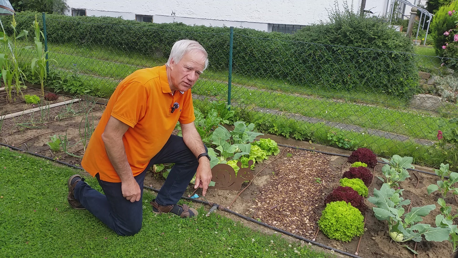 schneckenschlauch-schneckenschlauch