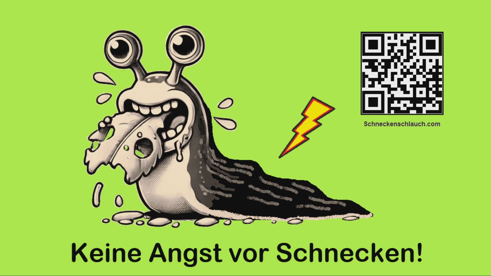 Keine Angst vor Schnecken Video